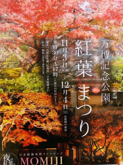 大阪-7　万博記念公園d  紅葉まつり　心字池周辺　☆自然文化園・平和のバラ園