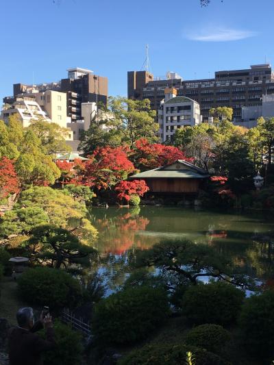 娘の様子見に、秋の神戸へ