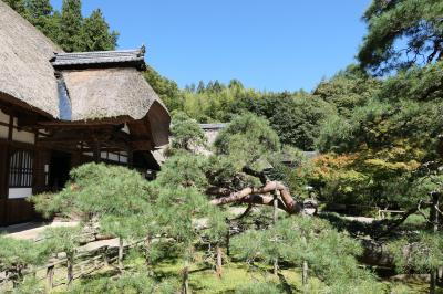 秋の松茸グルメ旅♪　Vol.44 ☆別所温泉：常楽寺　美しい茅葺屋根と古松♪