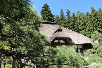 秋の松茸グルメ旅♪　Vol.45 ☆別所温泉：常楽寺　美しい茅葺屋根と古松♪