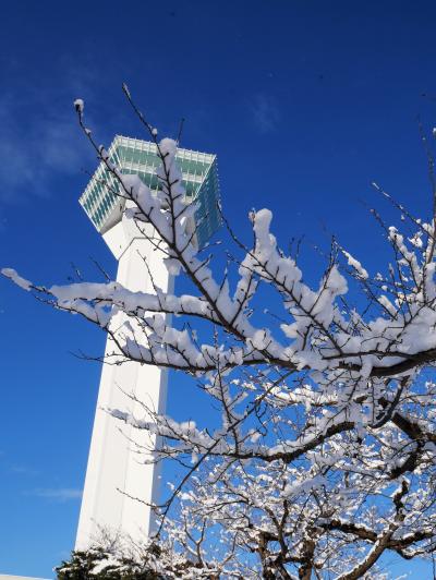 2022年冬 雪の函館を楽しむ（はこだてクリスマスファンタジー、五稜郭）