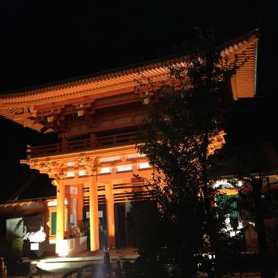 京都半日観光　夜の上賀茂神社