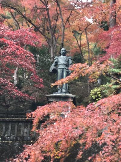 東郷公園　紅葉祭り