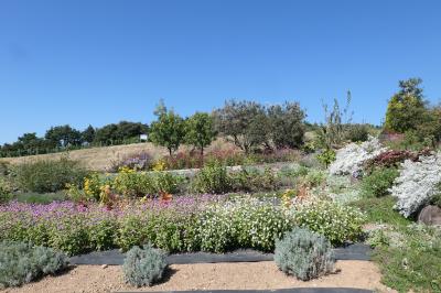 秋の松茸グルメ旅♪　Vol.90 ☆東御：ヴィラデストガーデンファーム秋の花と薔薇の美しい庭園♪