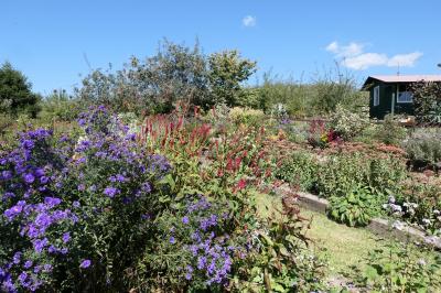 秋の松茸グルメ旅♪　Vol.98 ☆東御：ヴィラデストガーデンファーム秋の花と薔薇の美しい庭園♪