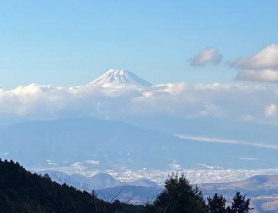 天城山と土肥、沼津