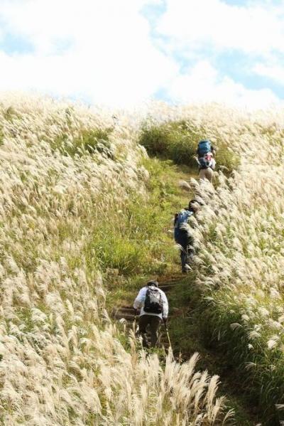 ススキの岩湧山