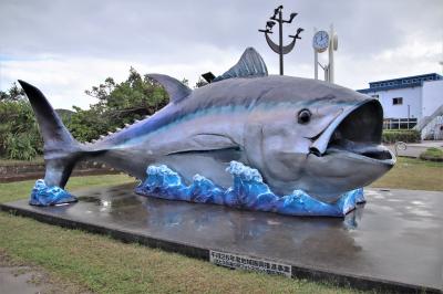 奄美群島～沖縄アイランドホッピングの旅 その②世界自然遺産『奄美大島』周遊！　