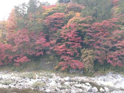 香嵐渓の紅葉2022年①