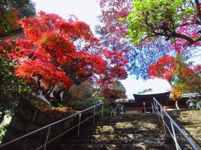 四国八十八ヶ所巡り・その7（紅葉の根香寺をゆく）