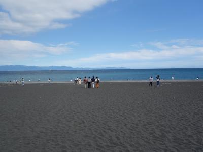 富士山満喫きっぷ　その２　日本平と三保の松原はすぐ近く。のはずだった。