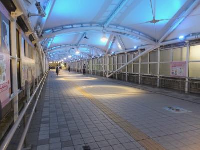 「もっとTOKYO」初めての利用。新小岩駅でモンチッチに出会う。