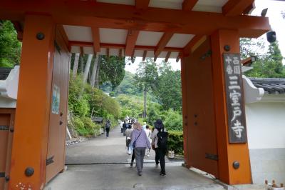 日帰り旅行　嵐山から三室戸寺のあじさい