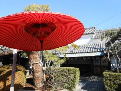 「うどん」（香川県）のち「皿鉢料理」（高知県）。体重増加は見ないふり～