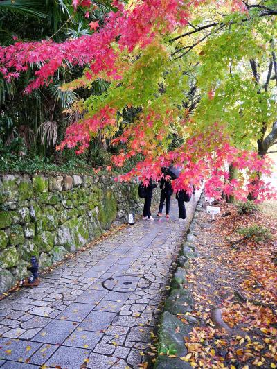 終わる秋を追いかけて・・紅燃ゆる古都へ＊～再びの近江路～＊