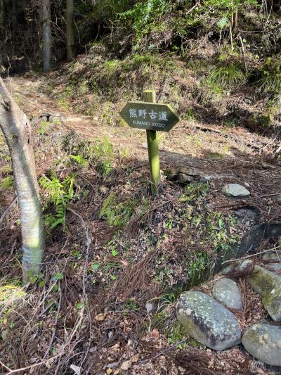 高野山・熊野古道と伊勢神宮旅～熊野古道編～