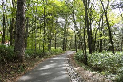 秋の上高地旅♪　Vol.8 ☆上高地帝国ホテルから梓川に沿った優雅な散歩♪