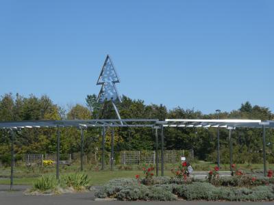 秋の百合が原公園