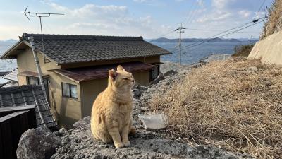 男木島で猫と遊び、うどん巡りした香川二泊三日旅。1日目～男木島～