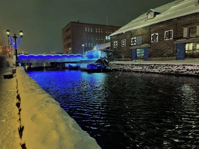 冬の北海道・寒さにびっくり日記 ①小樽で雪に埋もれて何もできなかった初日