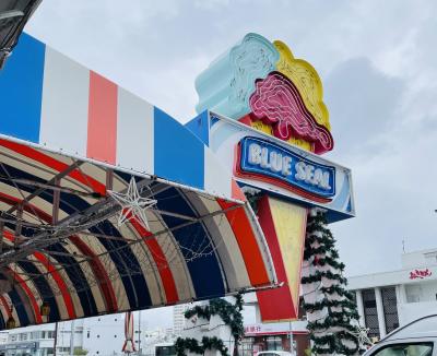 2歳児子連れ沖縄旅行記③