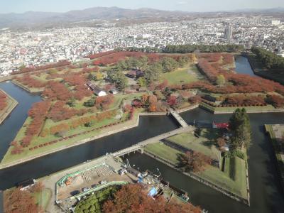 函館旅行③２日目（トラピスチヌ修道院、五稜郭タワー、箱舘奉行所）