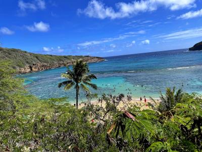 3年ぶりの海外一人旅 ホノルル6泊8日の旅 4日目　ハナウマ湾でシュノーケリング　