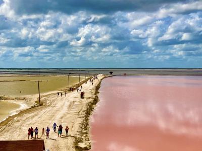 【メキシコ・メリダ】カリブ海、遺跡、ピンクレイクの欲張りな旅 ②