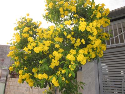 ベトナム(ホーチミン、ムイ・ネ、ダラット)旅行③