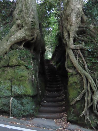 東京 伊豆大島 泉津の切り通し(Senzu Narrow Path,Oshima,Tokyo,Japan)