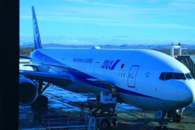 沖縄旅行記前編