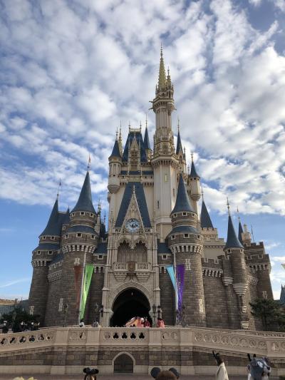 新春、冬の３世代ディズニーランド旅行