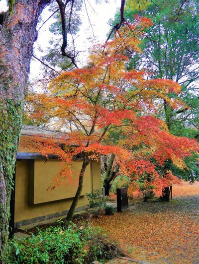 終わる秋を追いかけて・・紅燃ゆる古都へ＊～大和路～＊