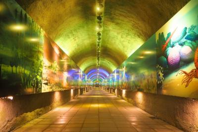 山陰・山陽 (中国地方)の旅 3日目 ③ 山口県美弥市秋芳町 絶景 秋芳洞