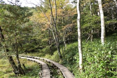 秋の上高地旅♪　Vol.22 ☆河童橋から上高地帝国ホテルへ梓川に沿った優雅な散歩♪