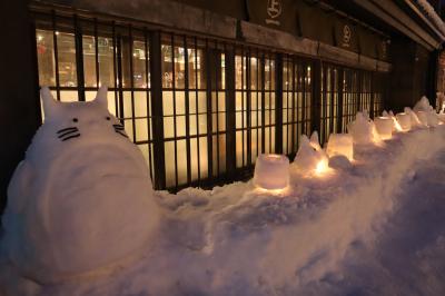 コロナ禍の自粛期間中の小樽雪あかりの路