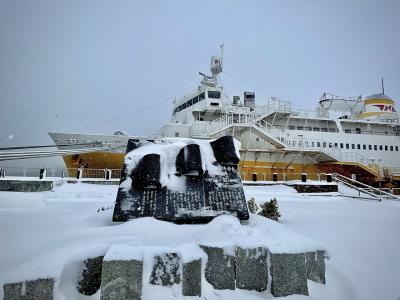 旅の終わり　青森駅は雪の中　‘22冬　青春18きっぷで行く 新潟＋東北6県 塗りつぶしの旅⑩