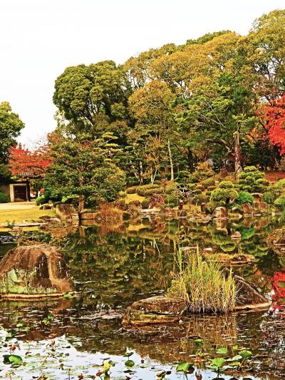 大阪23　慶沢園　林泉回遊式・名木/名石を集め　☆元住友家～市に寄贈され公開