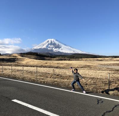 静岡横断　車旅　浜名湖　伊豆　富士山　沼津　