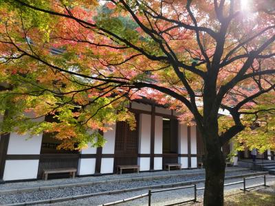 シニア夫婦　福岡・佐賀・長崎を訪ねて１　福岡　呑山観音寺＆宇美八幡宮