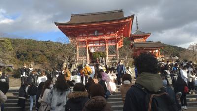 旅行体験記2023～京都～新年の旅行始め!京都の魅力再発見!