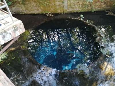 ’２３　年末年始静岡旅行１９　三島 柿田川公園の青い井戸を見に行く