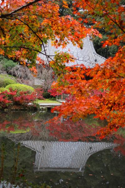 奈良の紅葉を求めて（等禰神社・長岳寺・なら歴史芸術文化村）