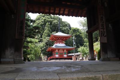 熊野古道シリーズ　小辺路　1日目(女人高野　慈尊院)