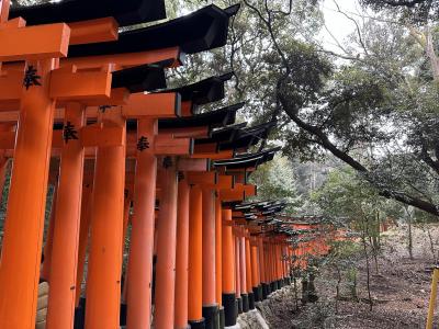 新春の京都めぐり　～二条城、平安神宮、伏見稲荷、南禅寺～