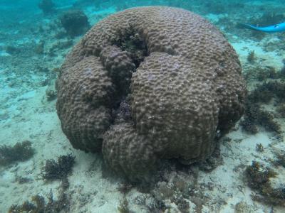 石垣島 2022-2023年末年始③ ANAインターコンチネンタル石垣リゾート