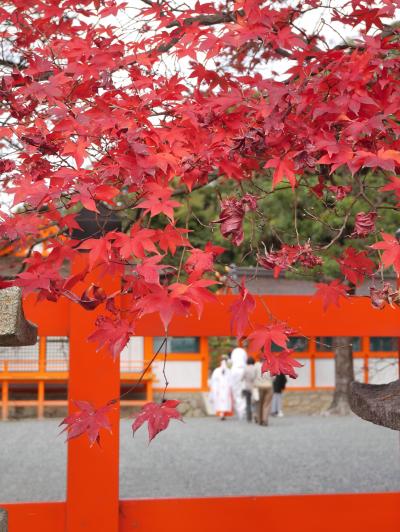 終わる秋を追いかけて・・紅燃ゆる古都へ＊～山城路～＊