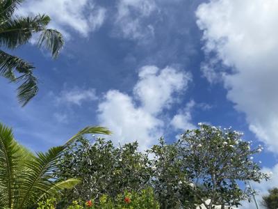 2023.1.5~9 子連れ グアム旅行記3