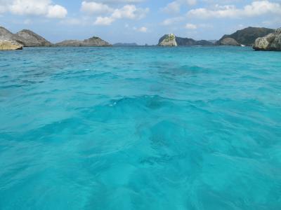 小笠原　父島　シュノーケリング