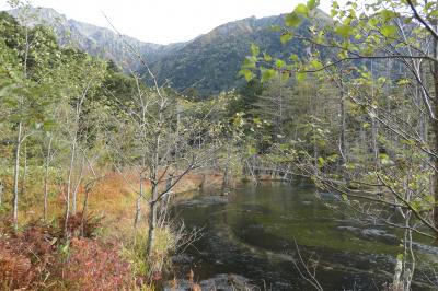 秋の上高地旅♪　Vol.50 ☆上高地ハイキング：河童橋から明神池へ美しい風景♪